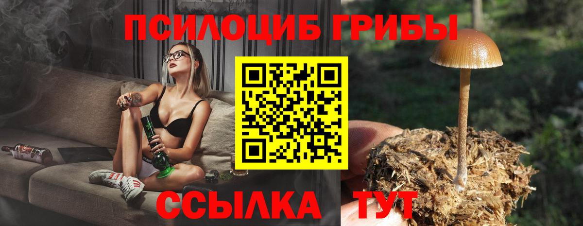 Южноуральск  Псилоцибиновые грибы Cubensis  Вход с VPN 